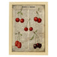 Poster de Cerezas. Láminas de frutas y verduras con definiciones. Ilustraciones de alimentacion vegetariana.-Artwork-Nacnic-A3-Marco Madera clara-Nacnic Estudio SL