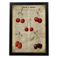 Poster de Cerezas. Láminas de frutas y verduras con definiciones. Ilustraciones de alimentacion vegetariana.-Artwork-Nacnic-A4-Marco Negro-Nacnic Estudio SL