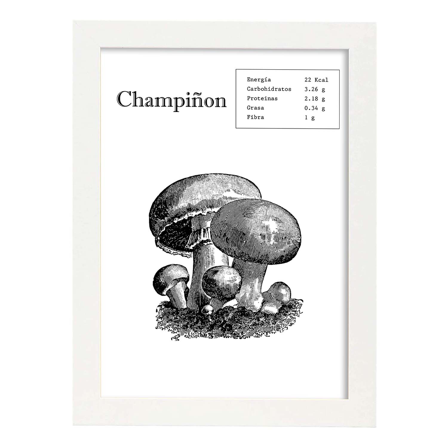 Poster de Champiñon. Láminas de frutas y verduras.-Artwork-Nacnic-A3-Marco Blanco-Nacnic Estudio SL