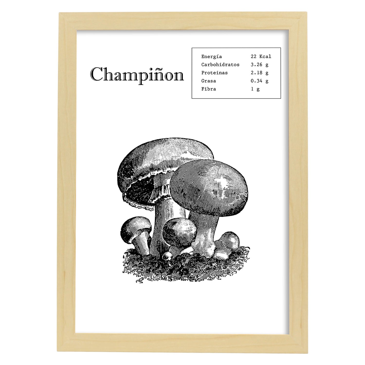 Poster de Champiñon. Láminas de frutas y verduras.-Artwork-Nacnic-A3-Marco Madera clara-Nacnic Estudio SL