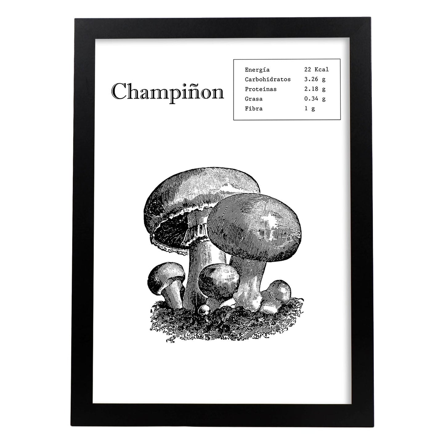 Poster de Champiñon. Láminas de frutas y verduras.-Artwork-Nacnic-A3-Marco Negro-Nacnic Estudio SL
