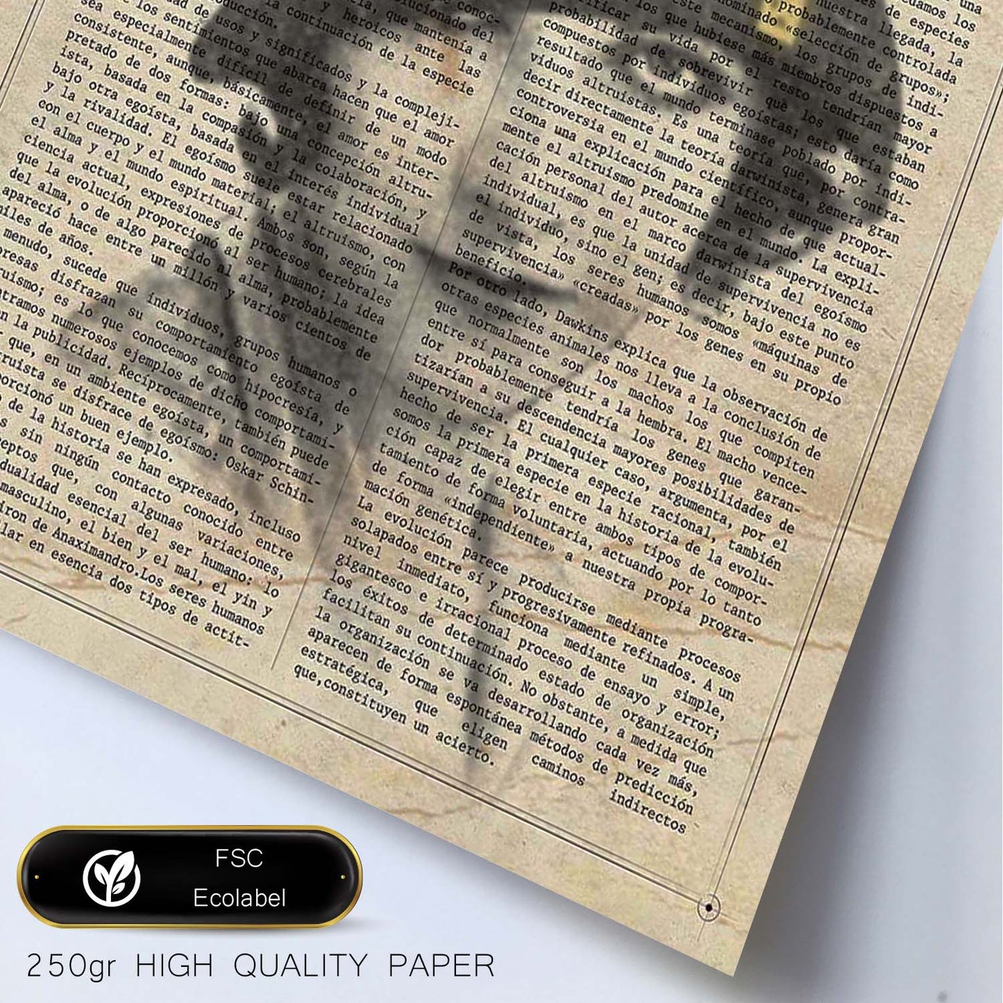 Poster de Chica de los 50.Láminas vintage para Posters con diseño vintage y definiciones.-Artwork-Nacnic-Nacnic Estudio SL