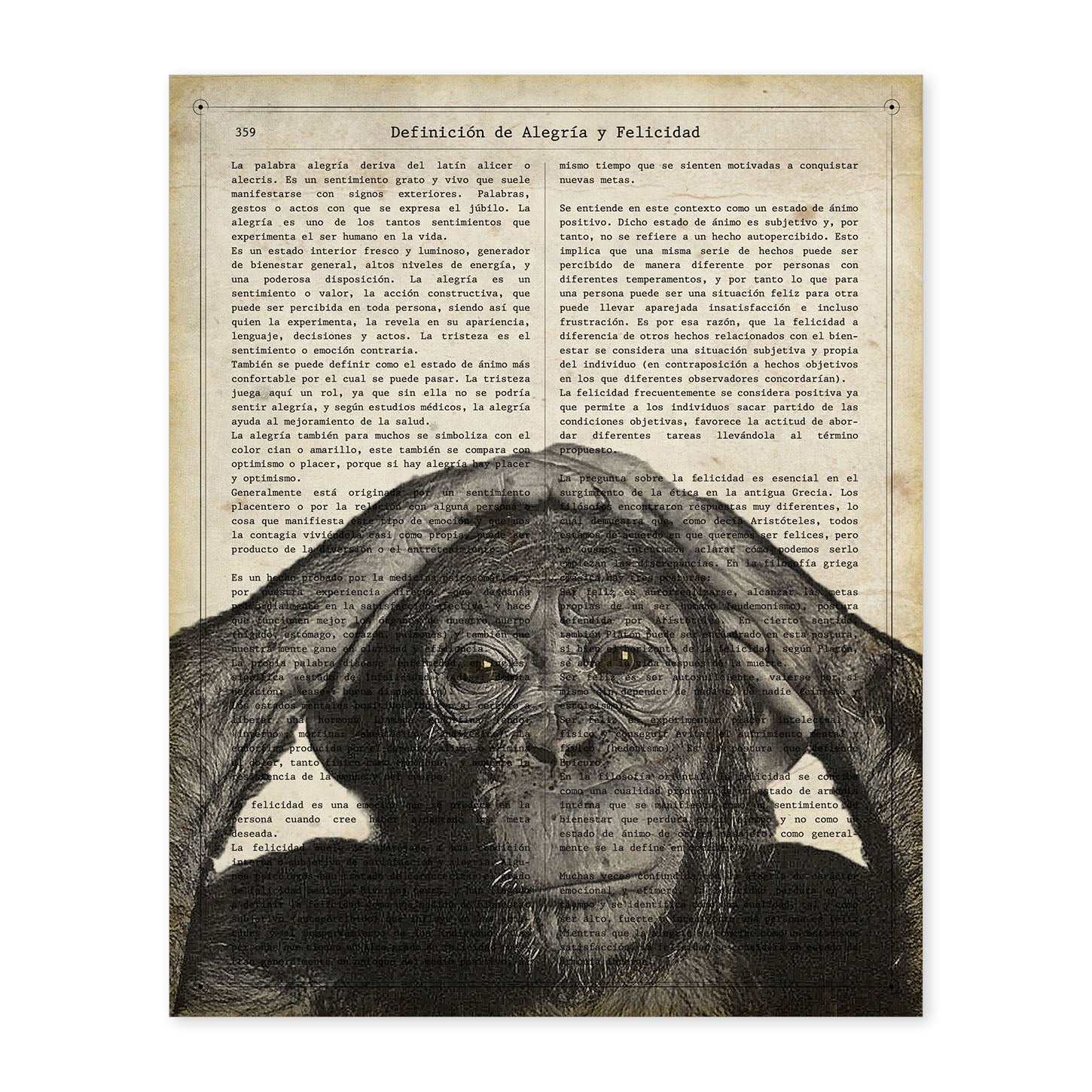 Poster de Chimpance. Láminas de animales con definiciones. Regalo para los amantes de los animales.-Artwork-Nacnic-A4-Sin marco-Nacnic Estudio SL