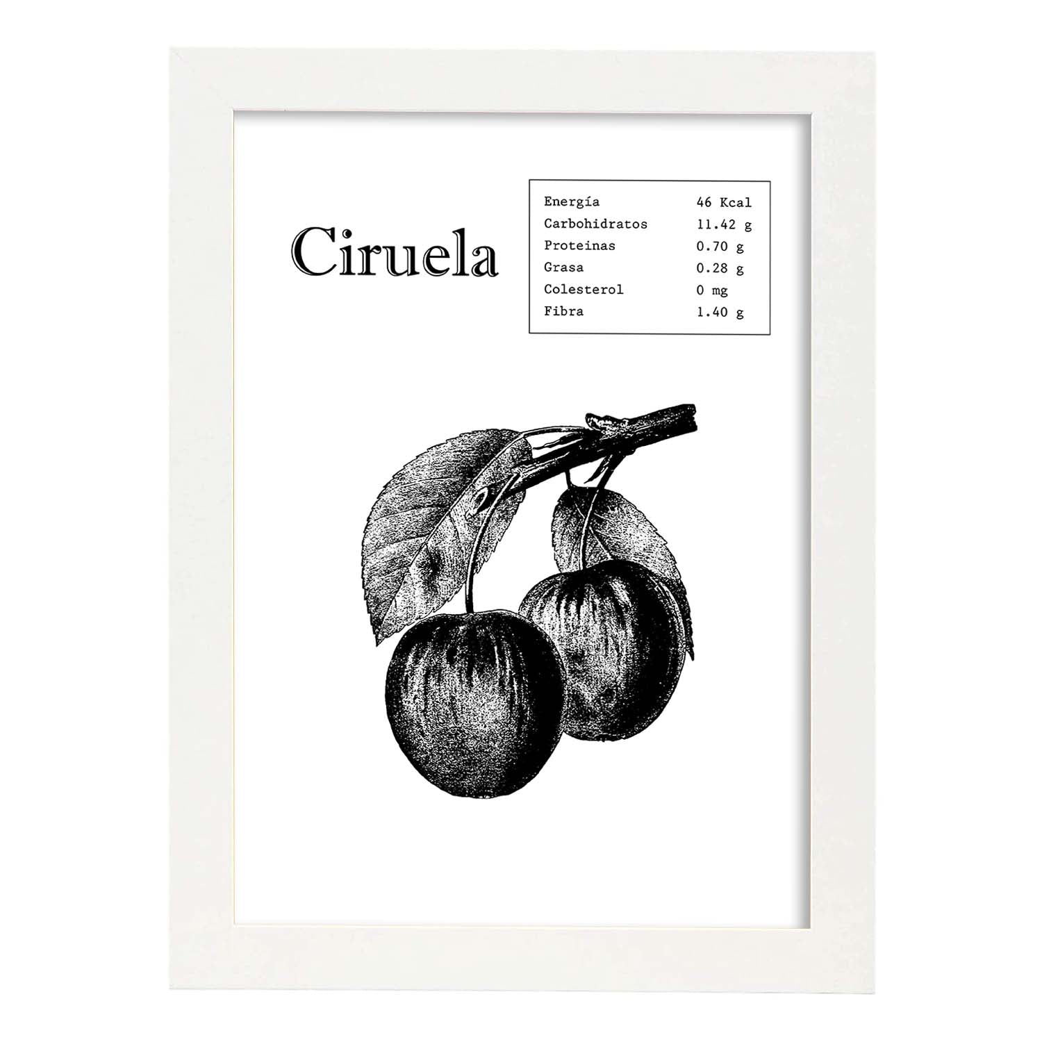 Poster de Ciruela. Láminas de frutas y verduras.-Artwork-Nacnic-A3-Marco Blanco-Nacnic Estudio SL