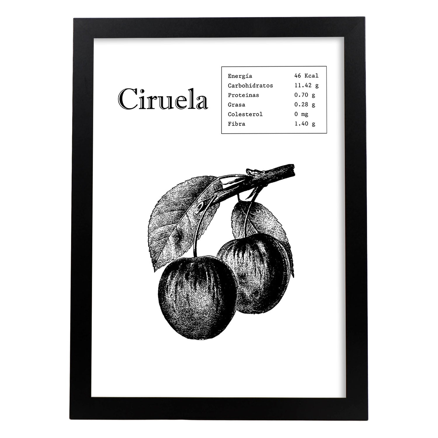 Poster de Ciruela. Láminas de frutas y verduras.-Artwork-Nacnic-A3-Marco Negro-Nacnic Estudio SL