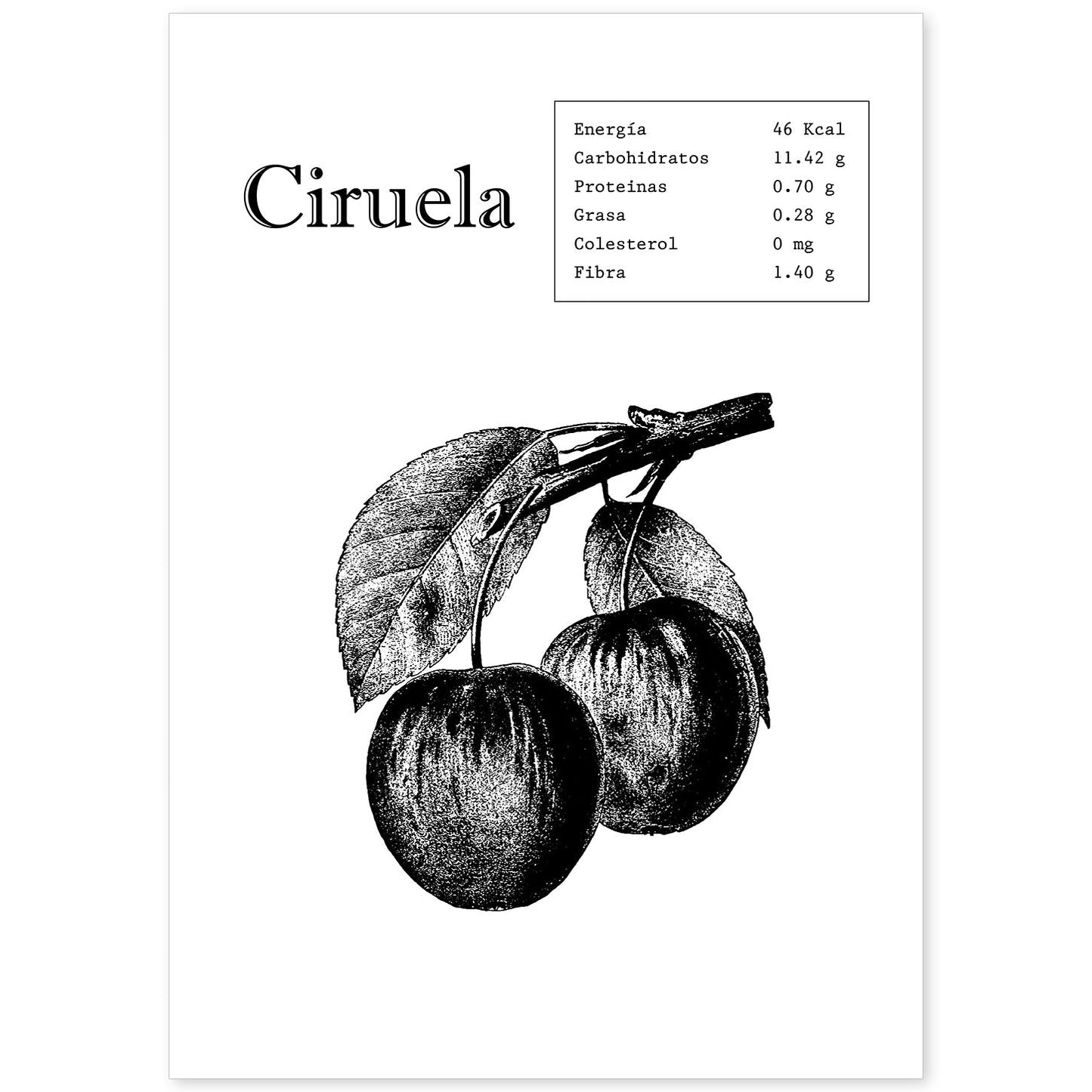 Poster de Ciruela. Láminas de frutas y verduras.-Artwork-Nacnic-A4-Sin marco-Nacnic Estudio SL