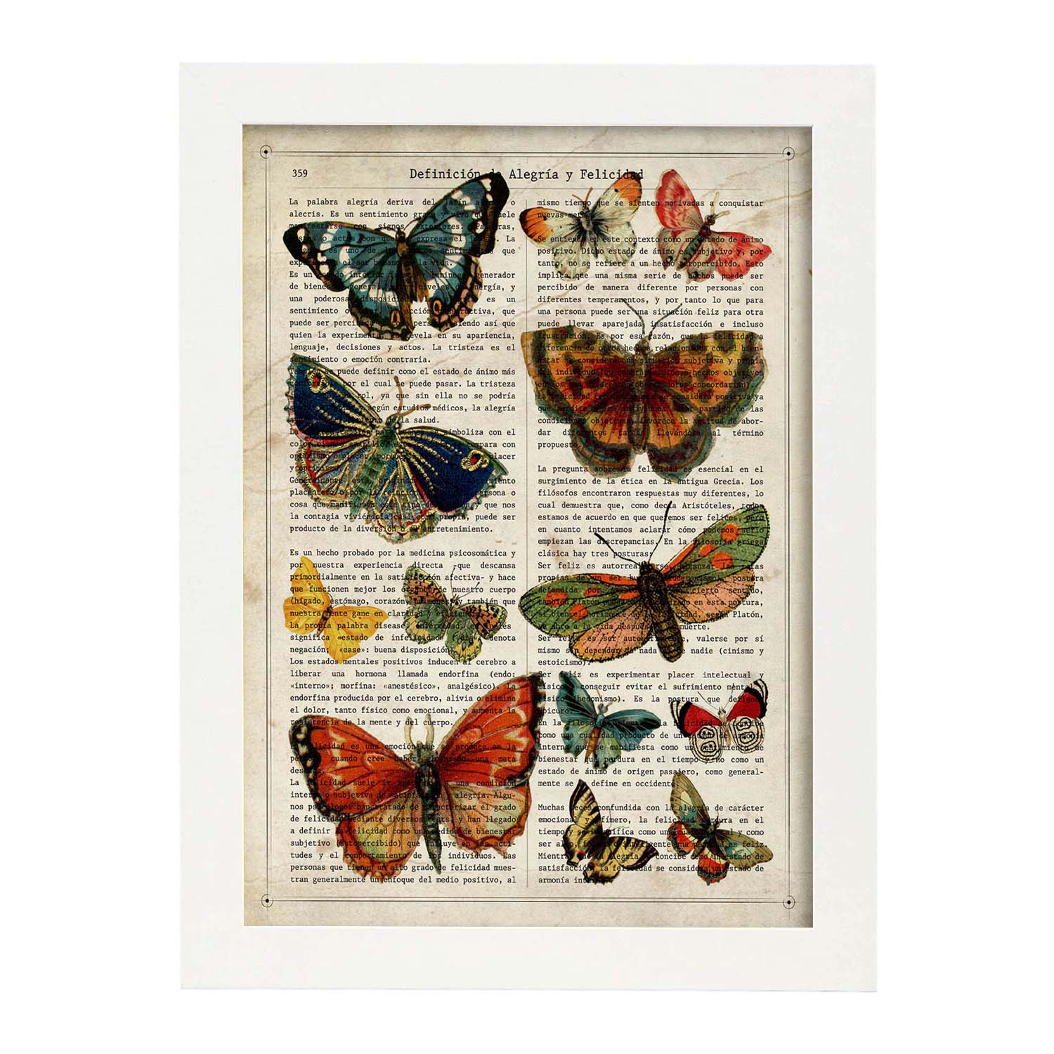 Poster de Colección de mariposas. Láminas de mariposas. Decoración de mariposas y polillas.-Artwork-Nacnic-A3-Marco Blanco-Nacnic Estudio SL