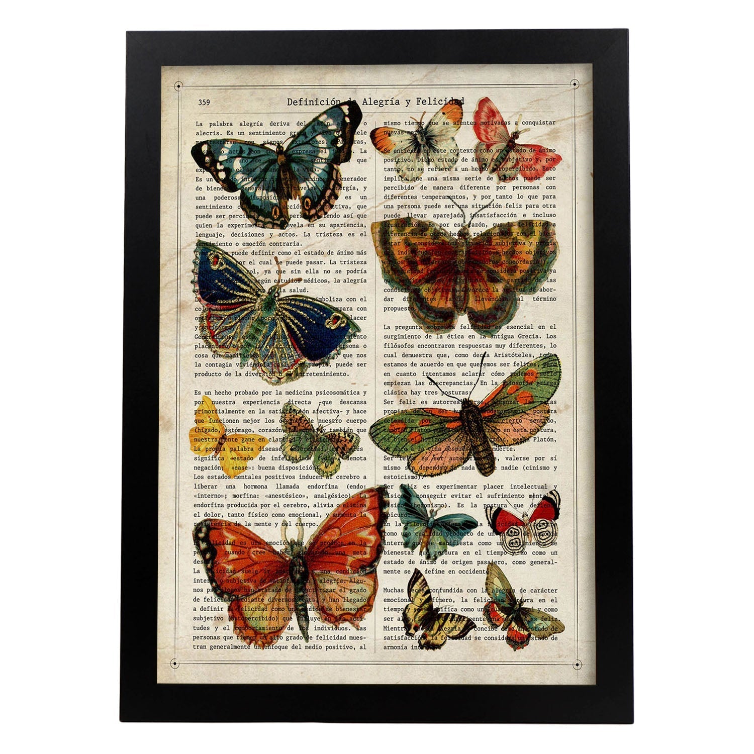 Poster de Colección de mariposas. Láminas de mariposas. Decoración de mariposas y polillas.-Artwork-Nacnic-A3-Marco Negro-Nacnic Estudio SL