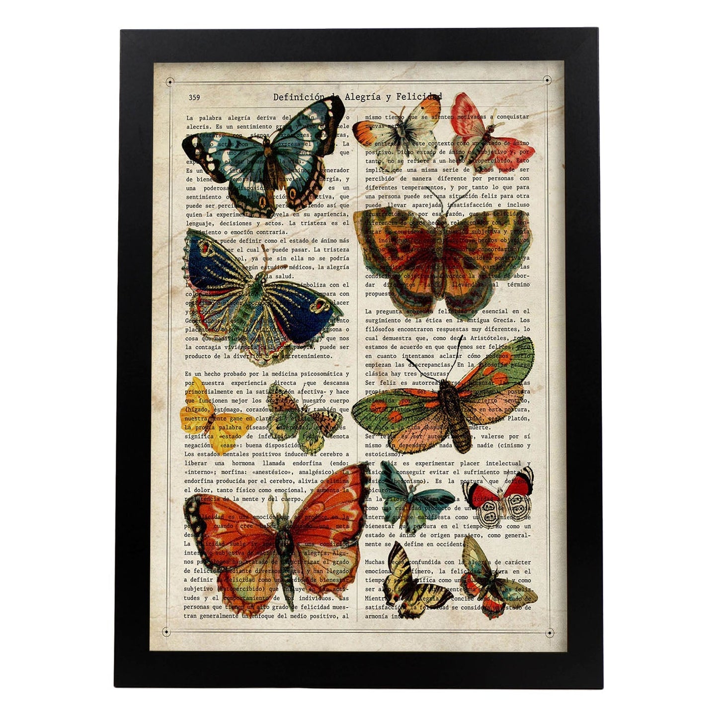 Poster de Colección de mariposas. Láminas de mariposas. Decoración de mariposas y polillas.-Artwork-Nacnic-A4-Marco Negro-Nacnic Estudio SL