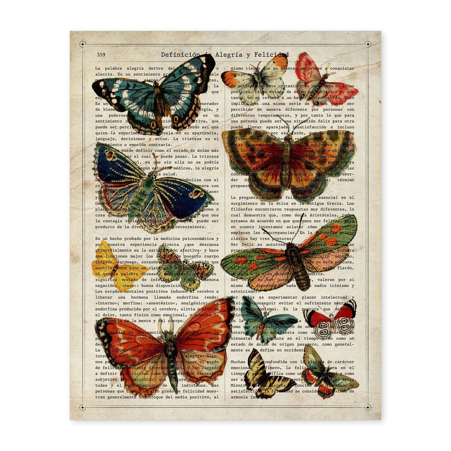 Poster de Colección de mariposas. Láminas de mariposas. Decoración de mariposas y polillas.-Artwork-Nacnic-A4-Sin marco-Nacnic Estudio SL