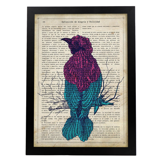 Poster de Colibri. Láminas de animales con definiciones. Regalo para los amantes de los animales.-Artwork-Nacnic-A4-Marco Negro-Nacnic Estudio SL