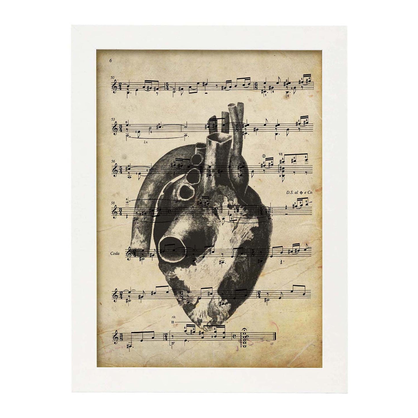 Poster de Corazon anatomico sobre partitura. Láminas de imágenes con partituras. Diseño de música para el hogar.-Artwork-Nacnic-Nacnic Estudio SL