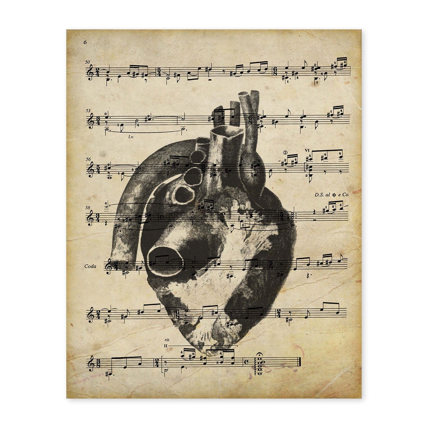 Poster de Corazon anatomico sobre partitura. Láminas de imágenes con partituras. Diseño de música para el hogar.-Artwork-Nacnic-A4-Sin marco-Nacnic Estudio SL