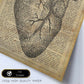 Poster de Corazon anatomico. Láminas románticas de amor con definiciones. Ilustraciones para tu pareja, familia, mujer, ...-Artwork-Nacnic-Nacnic Estudio SL