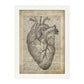 Poster de Corazon anatomico. Láminas románticas de amor con definiciones. Ilustraciones para tu pareja, familia, mujer, ...-Artwork-Nacnic-A3-Marco Blanco-Nacnic Estudio SL