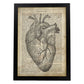 Poster de Corazon anatomico. Láminas románticas de amor con definiciones. Ilustraciones para tu pareja, familia, mujer, ...-Artwork-Nacnic-A3-Marco Negro-Nacnic Estudio SL
