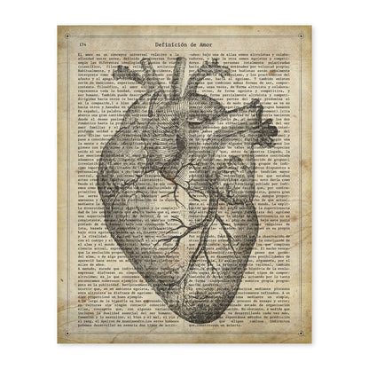 Poster de Corazon anatomico. Láminas románticas de amor con definiciones. Ilustraciones para tu pareja, familia, mujer, ...-Artwork-Nacnic-A4-Sin marco-Nacnic Estudio SL