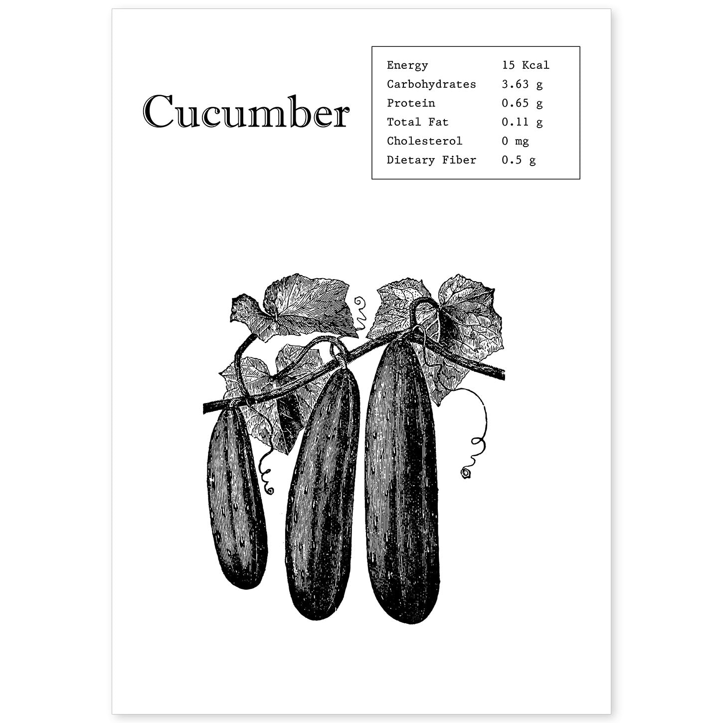 Poster de Cucumber. Láminas de frutas y verduras en inglés.-Artwork-Nacnic-A4-Sin marco-Nacnic Estudio SL