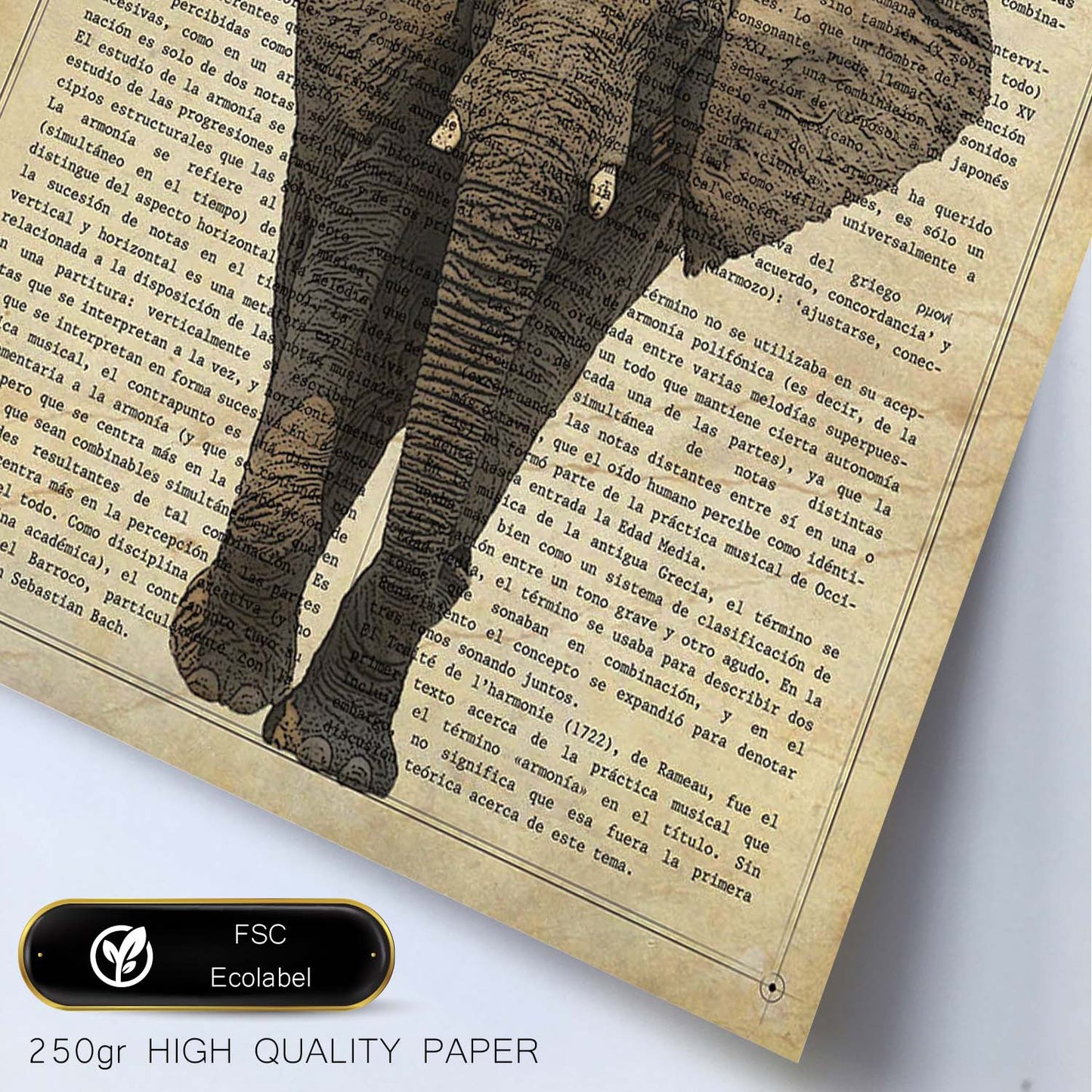 Poster de Elefante con corona. Láminas de elefantes con definiciones. Diseño con imágenes de elefantes y textos.-Artwork-Nacnic-Nacnic Estudio SL