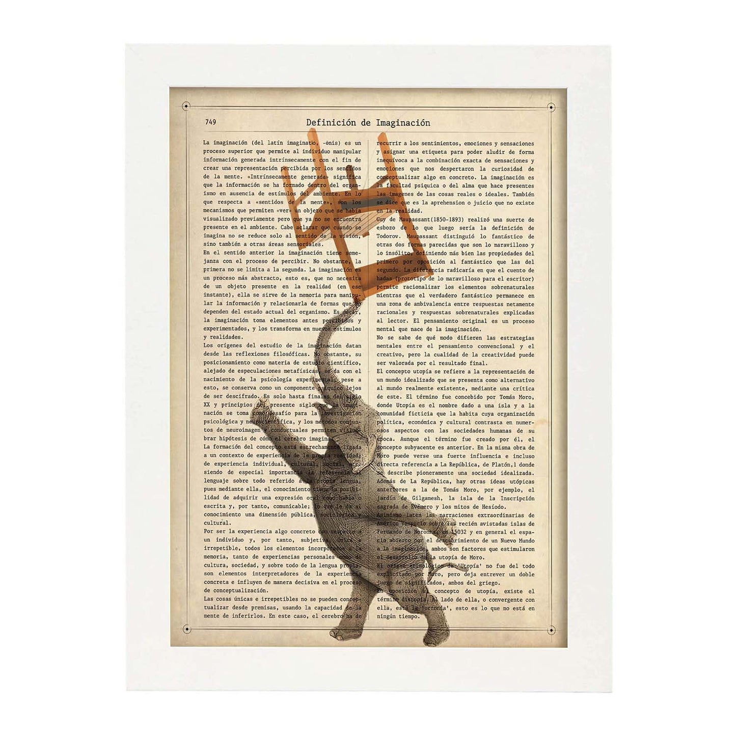 Poster de Elefante con silla. Láminas de elefantes con definiciones. Diseño con imágenes de elefantes y textos.-Artwork-Nacnic-Nacnic Estudio SL