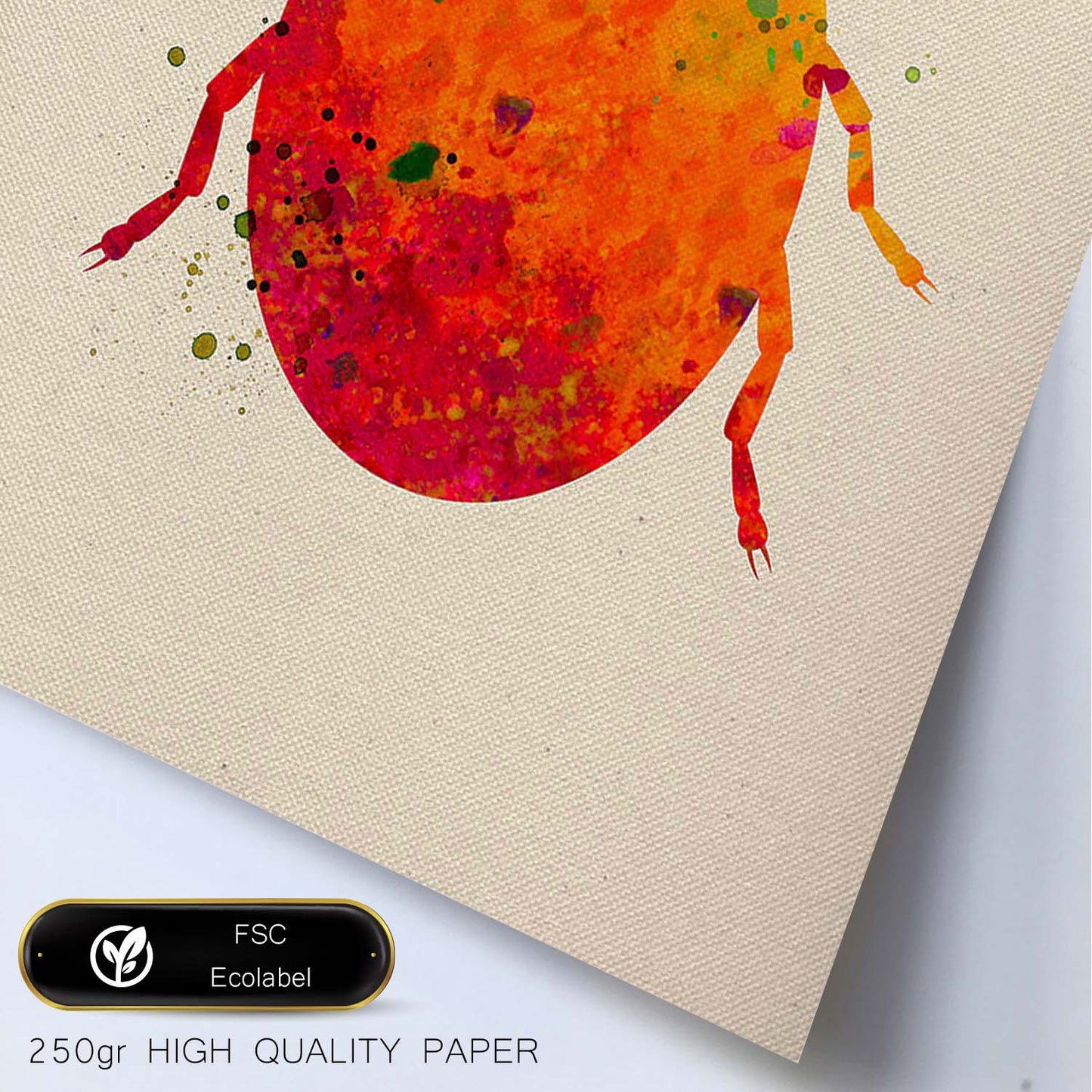 Poster de Escarabajo con diseño acuarela. Mix de láminas con estilo acuarela-Artwork-Nacnic-Nacnic Estudio SL