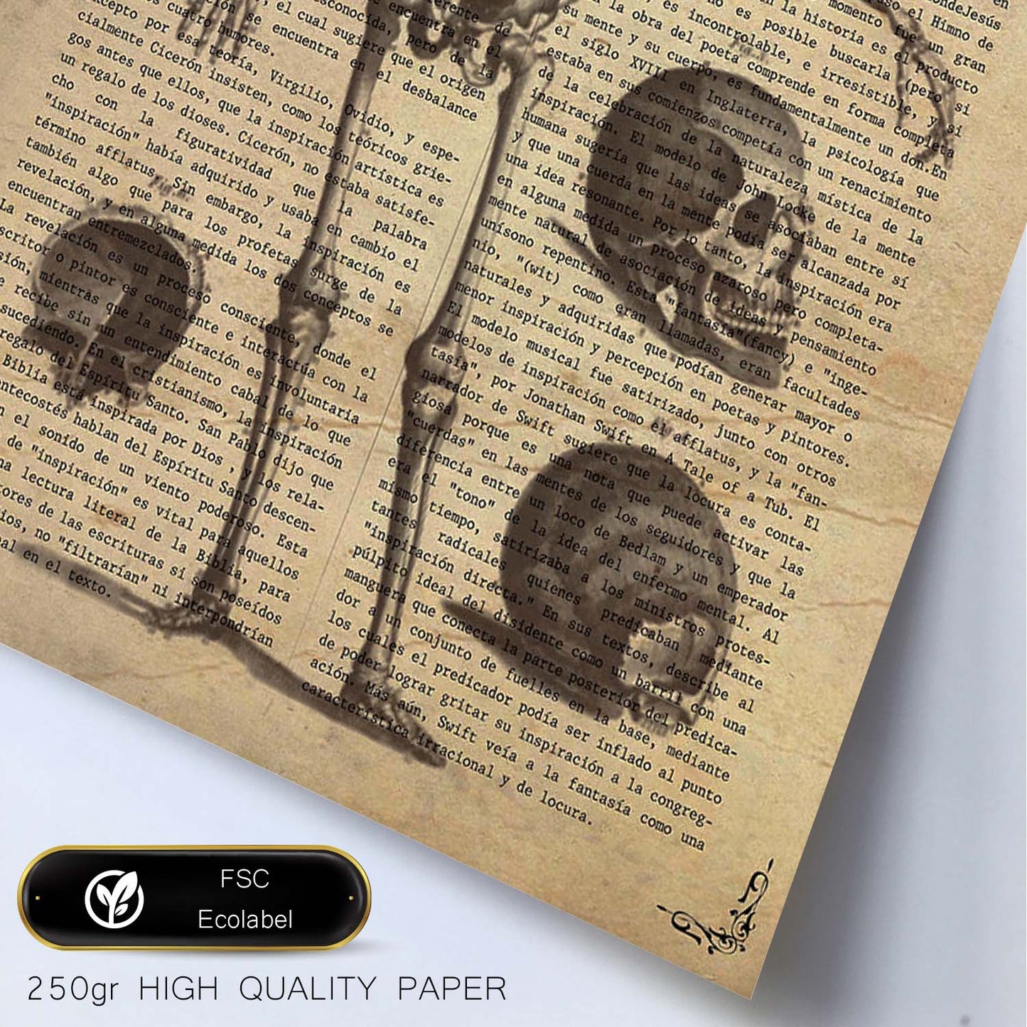 Poster de Esqueleto y partes. Láminas de calaveras. Decoración de hogar.-Artwork-Nacnic-Nacnic Estudio SL