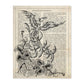 Poster de Fenix blanco y negro. Láminas de animales con definiciones. Ilustraciones de animales con textos.-Artwork-Nacnic-A4-Sin marco-Nacnic Estudio SL