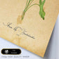 Poster de flores vintage. Lámina Arum lily 2 con diseño vintage.-Artwork-Nacnic-Nacnic Estudio SL