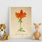 Poster de flores vintage. Lámina Asiatic Lily - Aggie Horticulture con diseño vintage.-Artwork-Nacnic-Nacnic Estudio SL