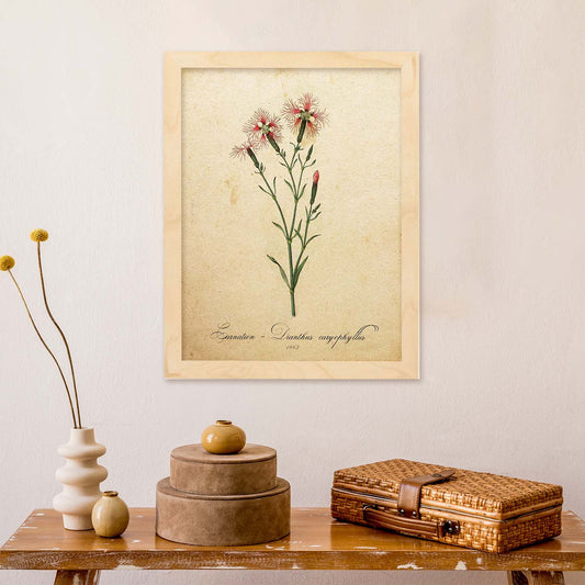 Poster de flores vintage. Lámina Carnation 2 con diseño vintage.-Artwork-Nacnic-Nacnic Estudio SL