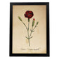 Poster de flores vintage. Lámina Carnation con diseño vintage.-Artwork-Nacnic-A4-Marco Negro-Nacnic Estudio SL