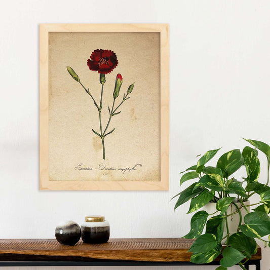 Poster de flores vintage. Lámina Carnation con diseño vintage.-Artwork-Nacnic-Nacnic Estudio SL