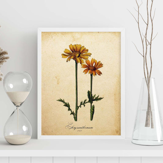 Poster de flores vintage. Lámina Chrysanthemum con diseño vintage.-Artwork-Nacnic-Nacnic Estudio SL