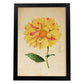 Poster de flores vintage. Lámina Dahlia con diseño vintage.-Artwork-Nacnic-A3-Marco Negro-Nacnic Estudio SL