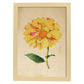 Poster de flores vintage. Lámina Dahlia con diseño vintage.-Artwork-Nacnic-A4-Marco Madera clara-Nacnic Estudio SL