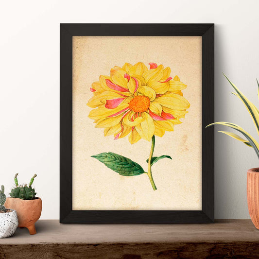 Poster de flores vintage. Lámina Dahlia con diseño vintage.-Artwork-Nacnic-Nacnic Estudio SL