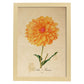 Poster de flores vintage. Lámina Dahlia Naranja con diseño vintage.-Artwork-Nacnic-A3-Marco Madera clara-Nacnic Estudio SL