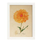 Poster de flores vintage. Lámina Dahlia Naranja con diseño vintage.-Artwork-Nacnic-A4-Marco Blanco-Nacnic Estudio SL