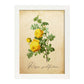 Poster de flores vintage. Lámina Hibiscus rosa - amarillo con diseño vintage.-Artwork-Nacnic-A3-Marco Blanco-Nacnic Estudio SL