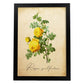 Poster de flores vintage. Lámina Hibiscus rosa - amarillo con diseño vintage.-Artwork-Nacnic-A4-Marco Negro-Nacnic Estudio SL