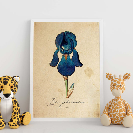 Poster de flores vintage. Lámina Iris con diseño vintage.-Artwork-Nacnic-Nacnic Estudio SL