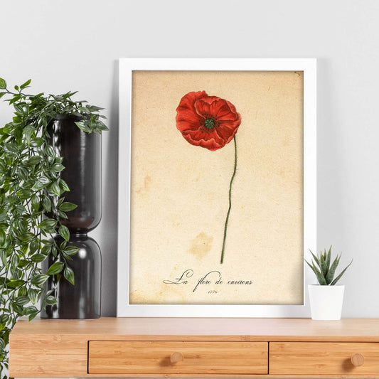Poster de flores vintage. Lámina La Flore Des Environs con diseño vintage.-Artwork-Nacnic-Nacnic Estudio SL