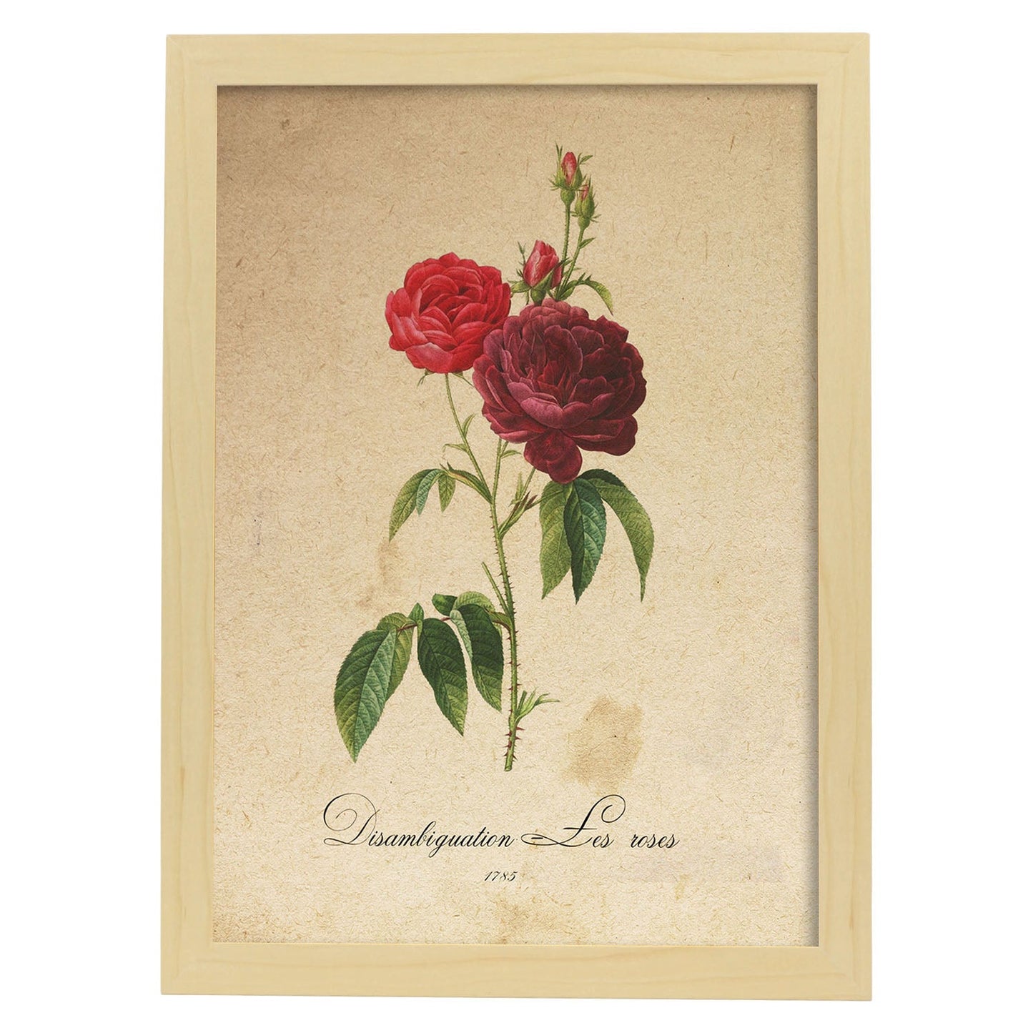 Poster de flores vintage. Lámina Les Roses con diseño vintage.-Artwork-Nacnic-A3-Marco Madera clara-Nacnic Estudio SL