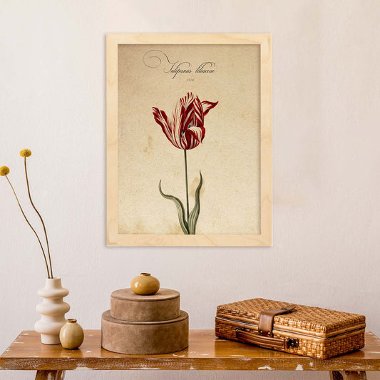Poster de flores vintage. Lámina Liliaceae tulip2 con diseño vintage.-Artwork-Nacnic-Nacnic Estudio SL