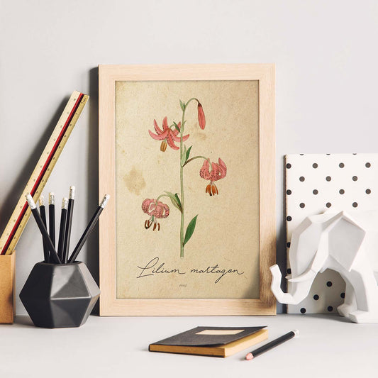 Poster de flores vintage. Lámina Lilium asiatic con diseño vintage.-Artwork-Nacnic-Nacnic Estudio SL