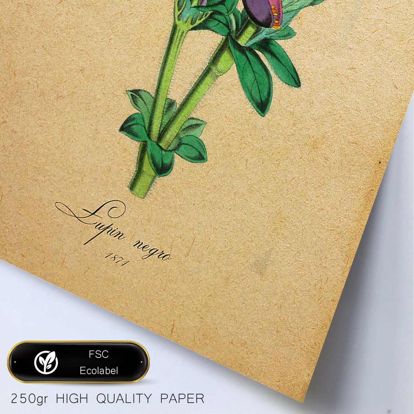 Poster de flores vintage. Lámina lupin negro con diseño vintage.-Artwork-Nacnic-Nacnic Estudio SL