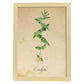 Poster de flores vintage. Lámina Menta con diseño vintage.-Artwork-Nacnic-A4-Marco Madera clara-Nacnic Estudio SL