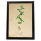 Poster de flores vintage. Lámina Menta con diseño vintage.-Artwork-Nacnic-A4-Marco Negro-Nacnic Estudio SL