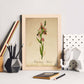 Poster de flores vintage. Lámina Orchidaceae pink con diseño vintage.-Artwork-Nacnic-Nacnic Estudio SL