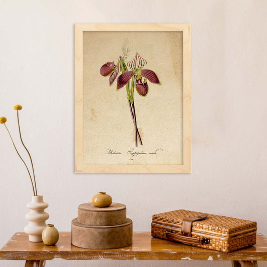 Poster de flores vintage. Lámina Orchidaceae yellow 2 con diseño vintage.-Artwork-Nacnic-Nacnic Estudio SL